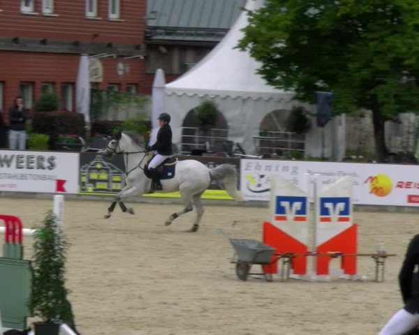 Reitturnier Borken 2025