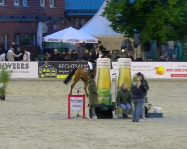 Reitturnier Borken 2025