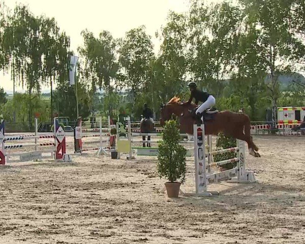 Reitturnier Landenhausen 2025
