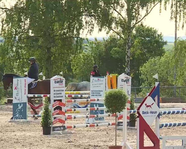 Reitturnier Landenhausen 2025