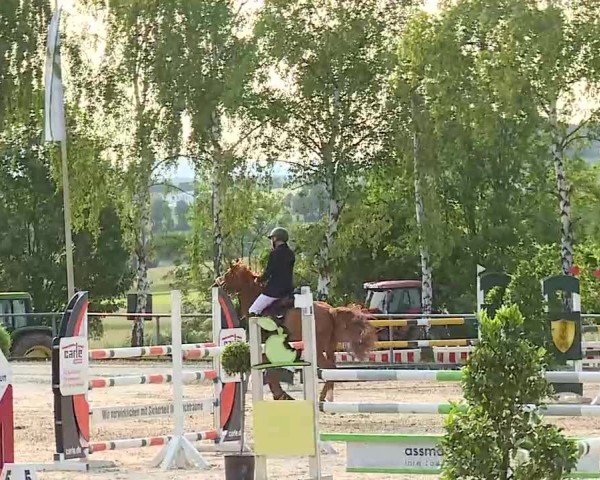 Reitturnier Landenhausen 2025