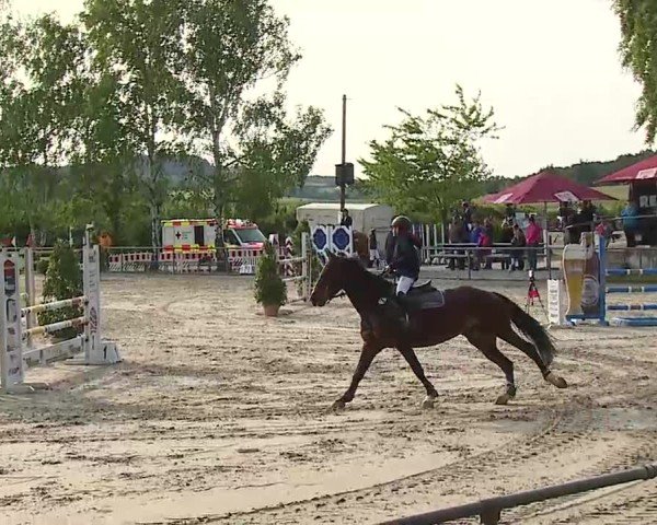 Reitturnier Landenhausen 2025