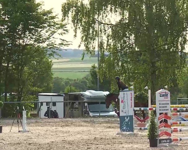 Reitturnier Landenhausen 2025
