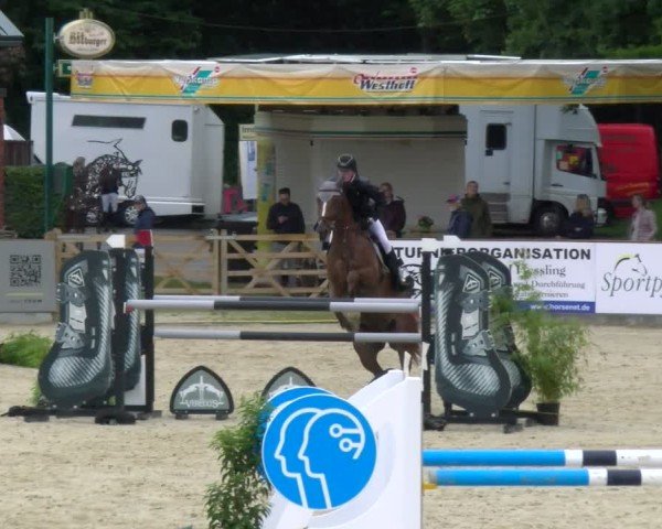 Reitturnier Borken 2025