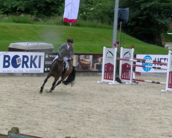 Reitturnier Borken 2025