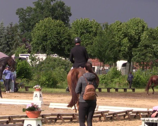 Reitturnier Blüthen 2025