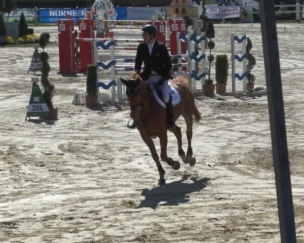 Lenklarer Reitertage 2014