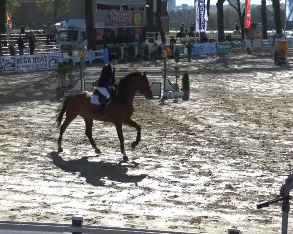 Lenklarer Reitertage 2014