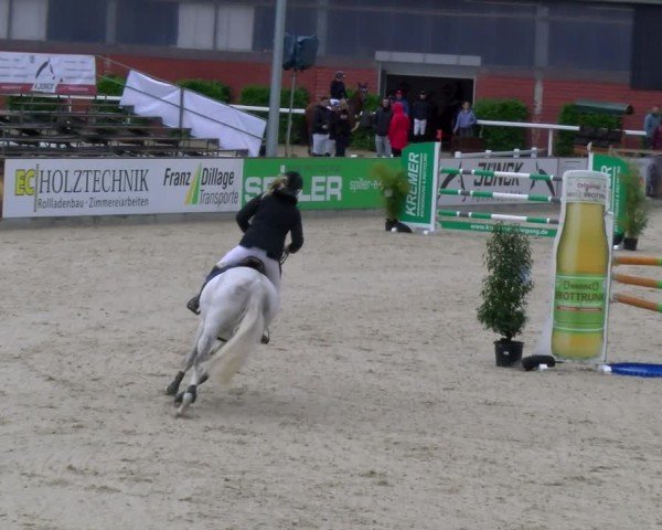 Reitturnier Borken 2025