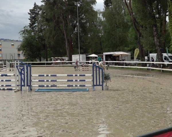 Reitturnier Bregenz 2025