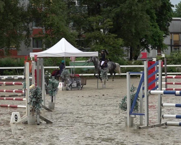Reitturnier Bregenz 2025