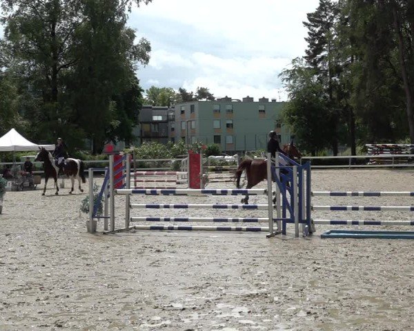 Reitturnier Bregenz 2025