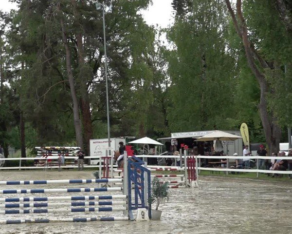 Reitturnier Bregenz 2025