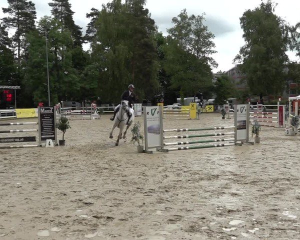 Reitturnier Bregenz 2025