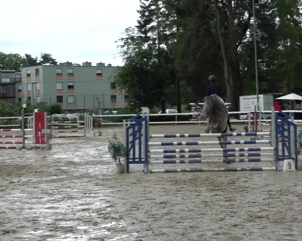 Reitturnier Bregenz 2025