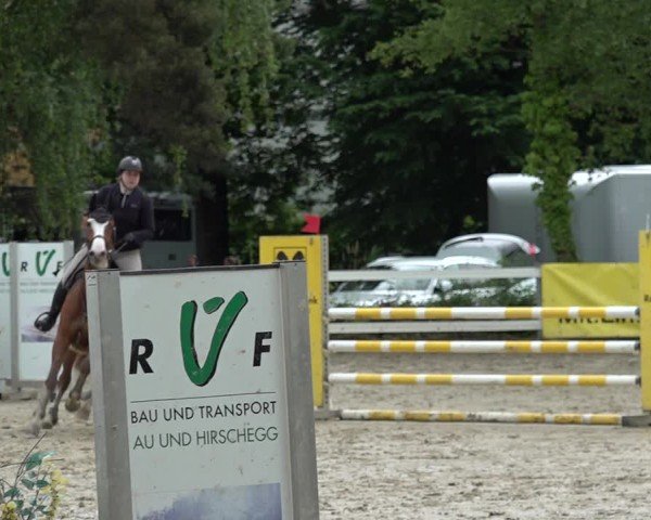 Reitturnier Bregenz 2025