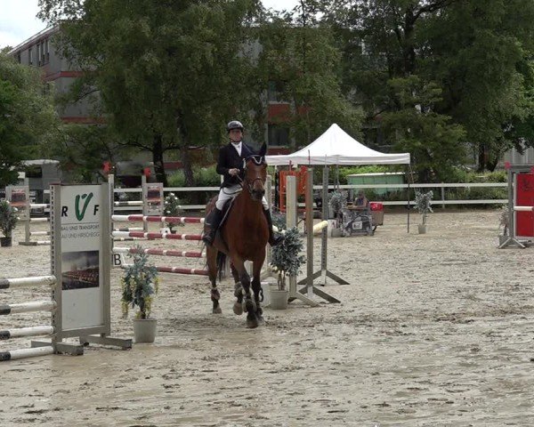 Reitturnier Bregenz 2025