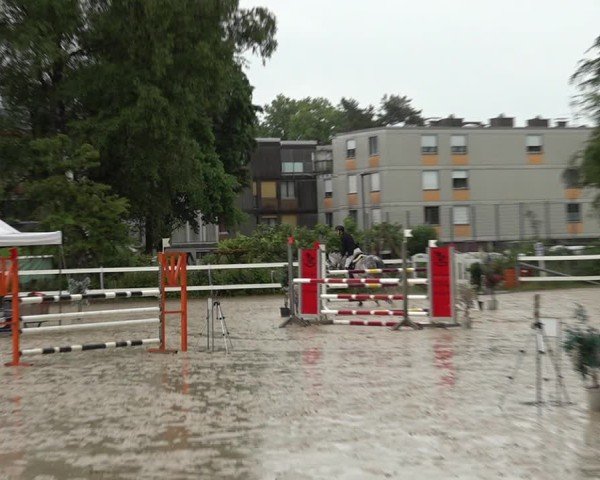 Reitturnier Bregenz 2025