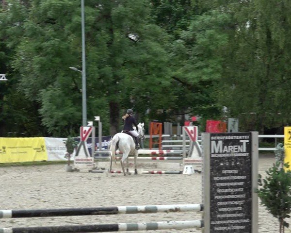 Reitturnier Bregenz 2025