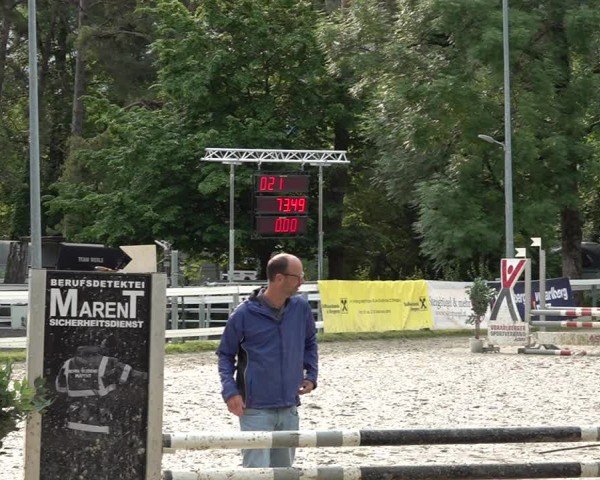 Reitturnier Bregenz 2025
