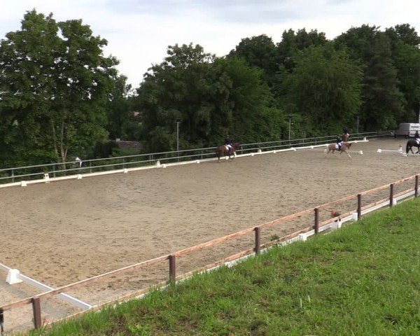 Reitturnier Iserlohn-Kalthof 2025