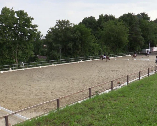 Reitturnier Iserlohn-Kalthof 2025