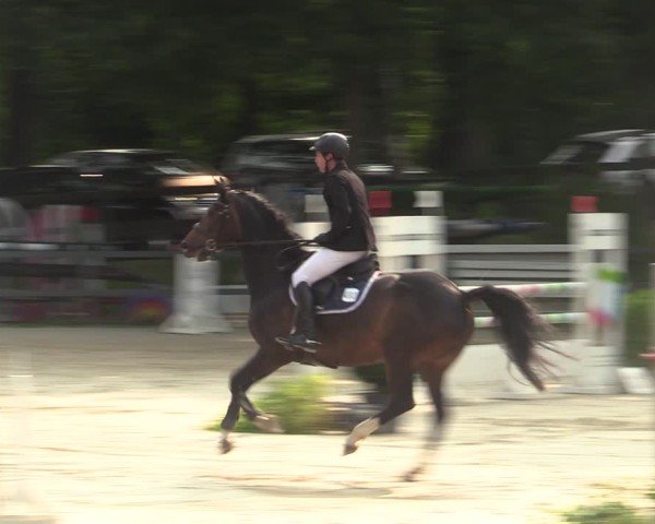 Reitturnier Iserlohn-Kalthof 2025