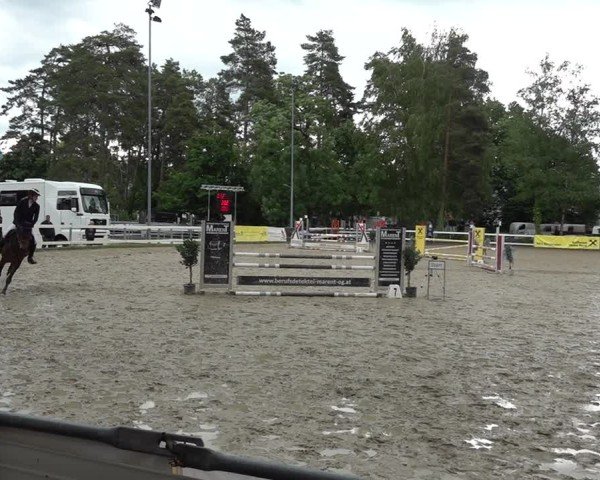 Reitturnier Bregenz 2025