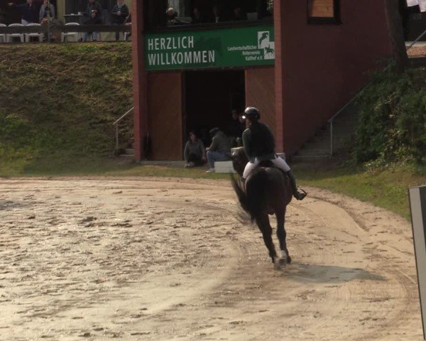 Reitturnier Iserlohn-Kalthof 2025