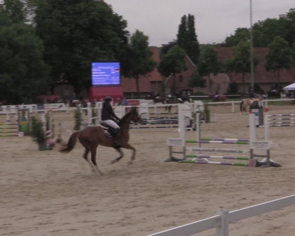 Reitturnier Everswinkel 2025
