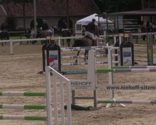 Reitturnier Everswinkel 2025