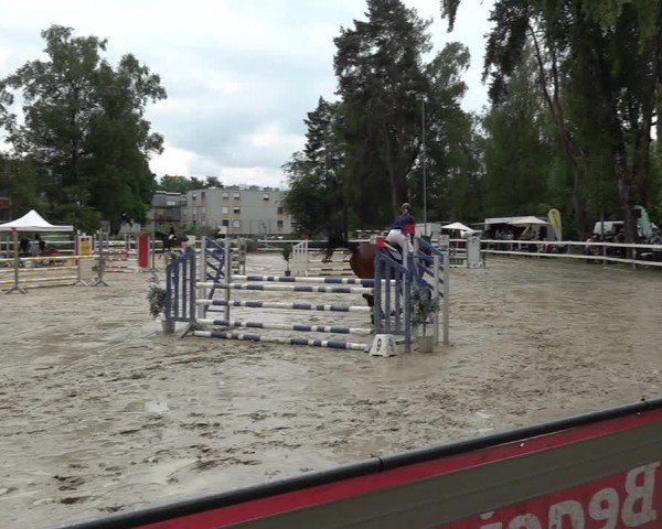 Reitturnier Bregenz 2025