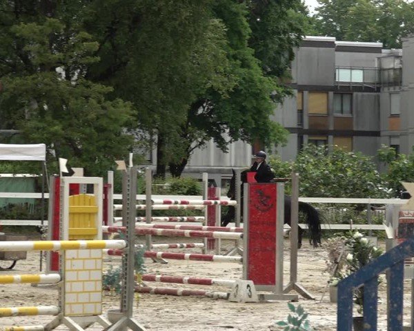 Reitturnier Bregenz 2025