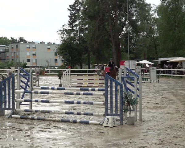 Reitturnier Bregenz 2025