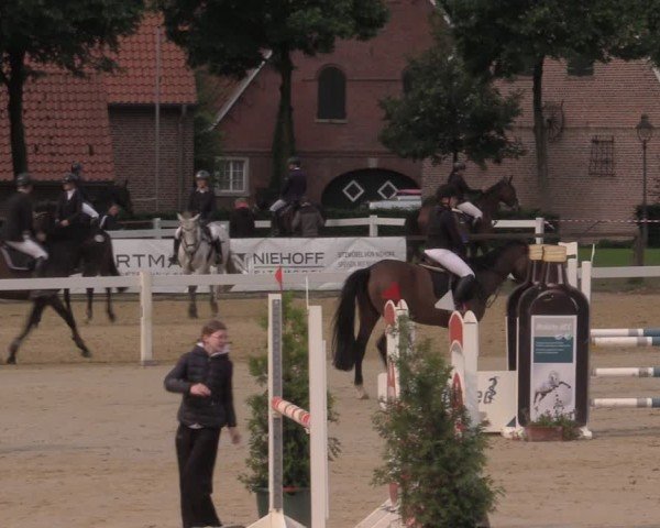 Reitturnier Everswinkel 2025