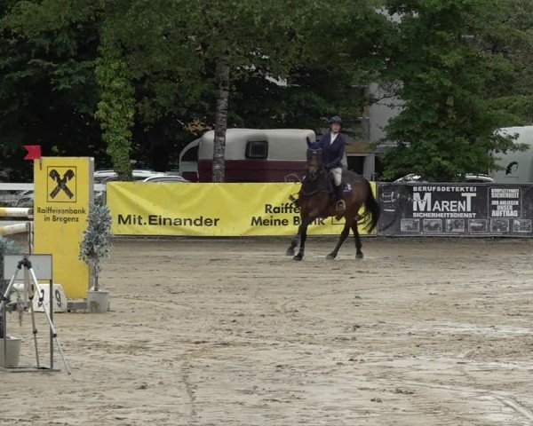 Reitturnier Bregenz 2025