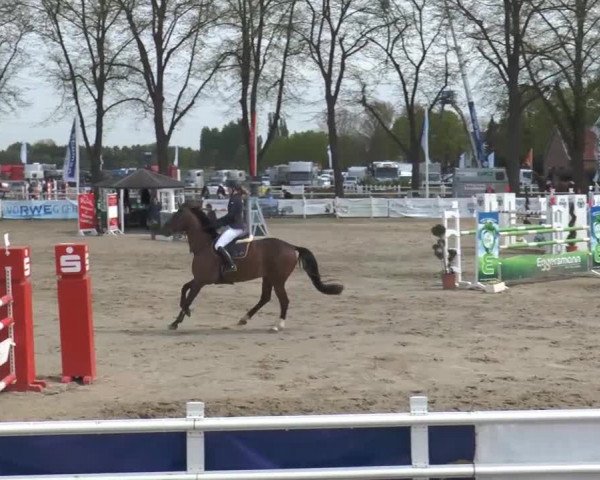 Lenklarer Reitertage 2014