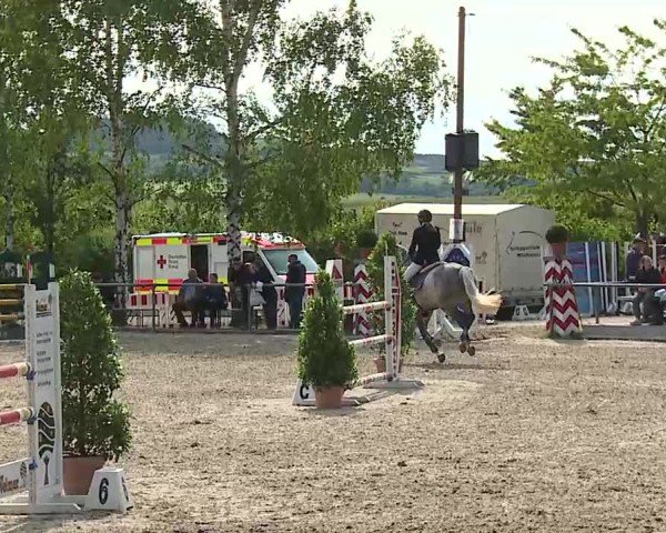 Reitturnier Landenhausen 2025
