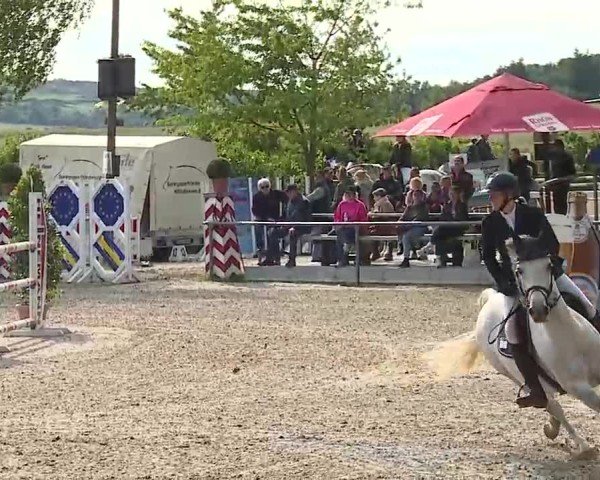 Reitturnier Landenhausen 2025