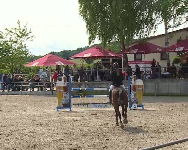 Reitturnier Landenhausen 2025