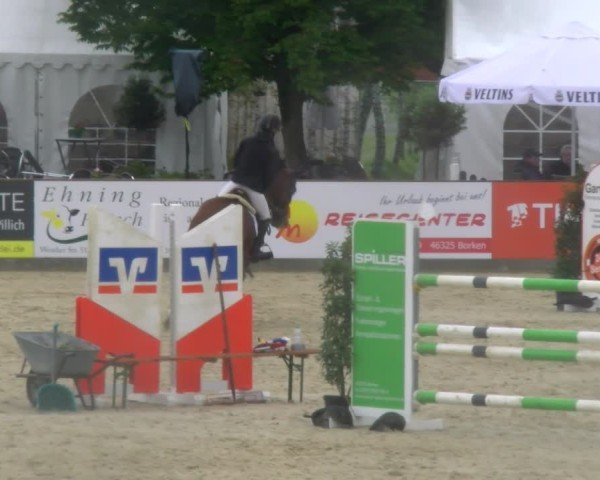 Reitturnier Borken 2025