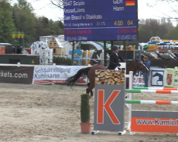 Reitturnier Werne-Lenklar 2014