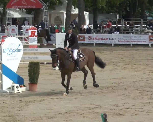 Reitturnier Werne-Lenklar 2014