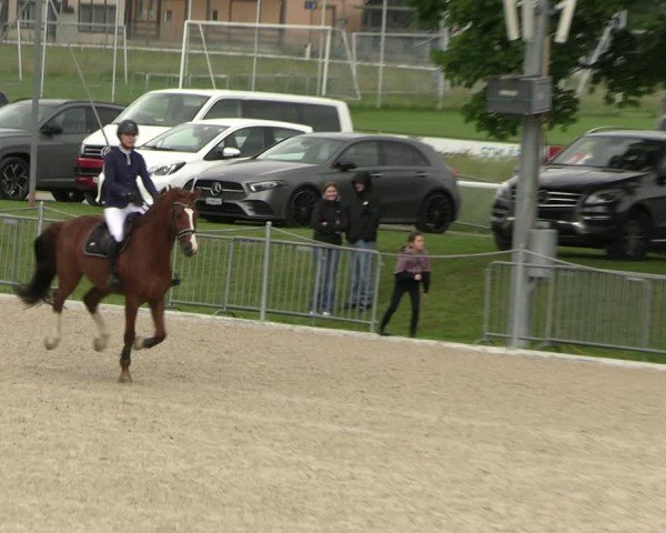 Reitturnier Fehraltorf 2025