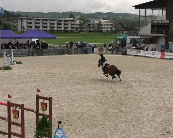Reitturnier Fehraltorf 2025