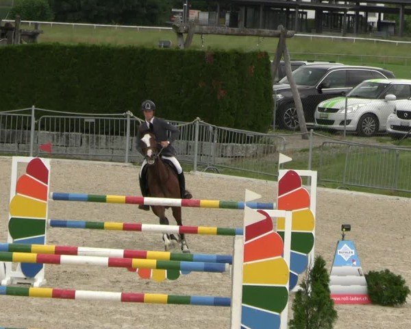 Reitturnier Fehraltorf 2025