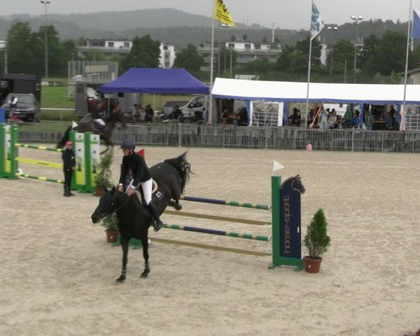Reitturnier Fehraltorf 2025