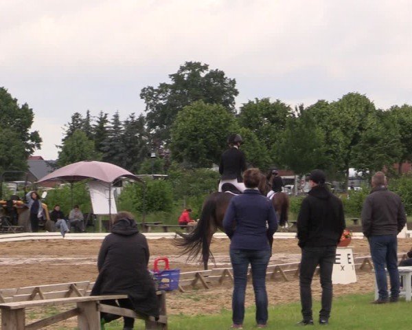 Reitturnier Blüthen 2025