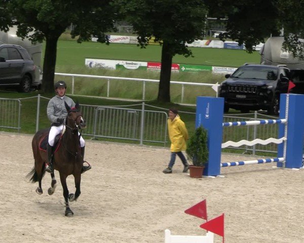 Reitturnier Fehraltorf 2025
