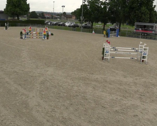 Reitturnier Fehraltorf 2025